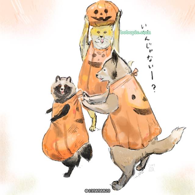 原创, 狐