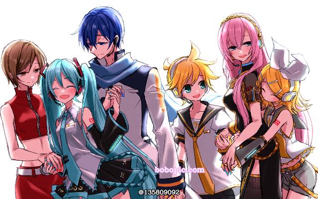 C社6只