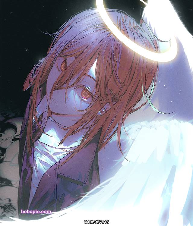 Chainsaw Man, 天使的恶魔, 电锯人500收藏