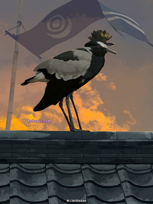 原创, 有害超兽, notification