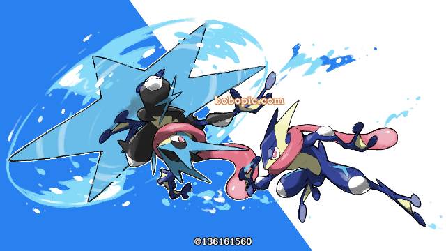 精灵宝可梦, greninja