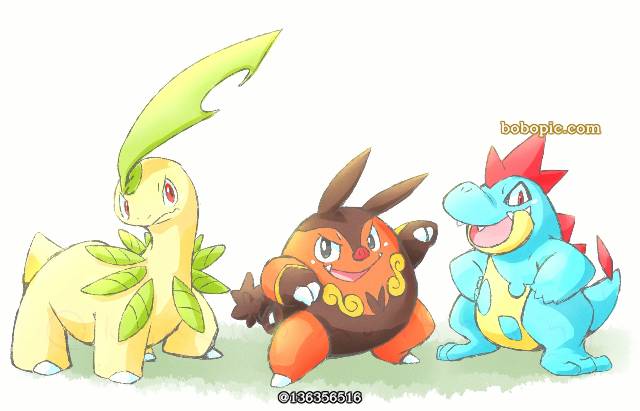 精灵宝可梦, Bayleef, Croconaw
