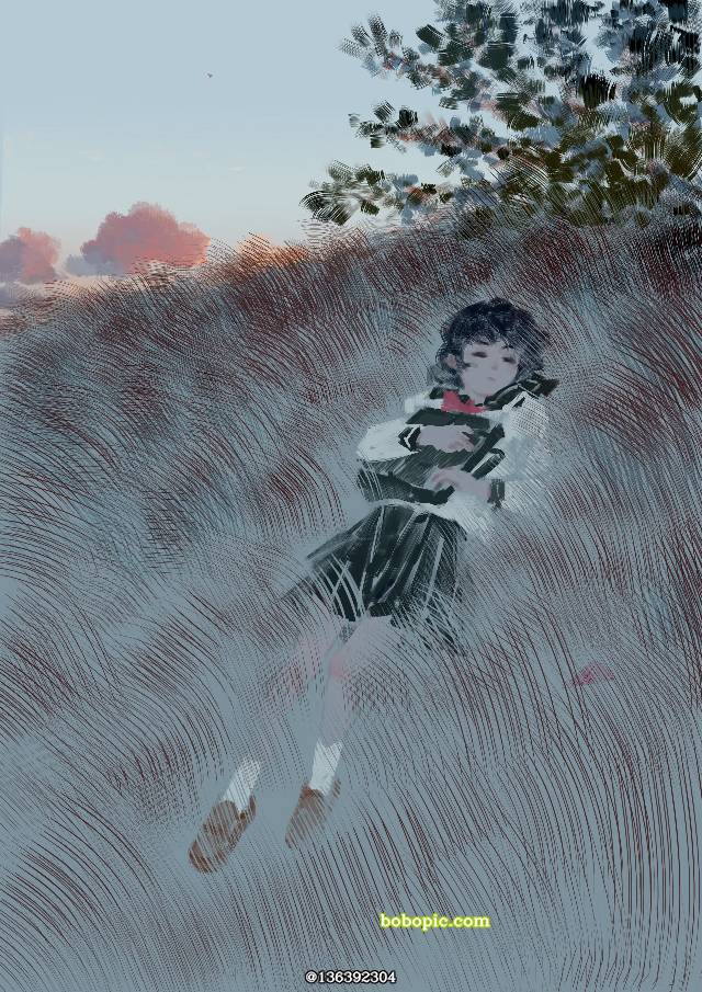 风景