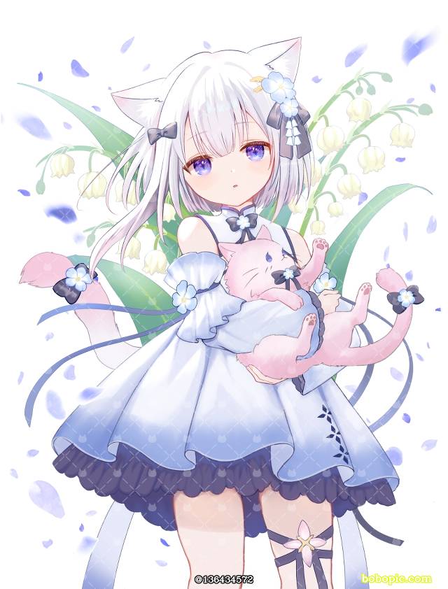 女孩子, 兽耳