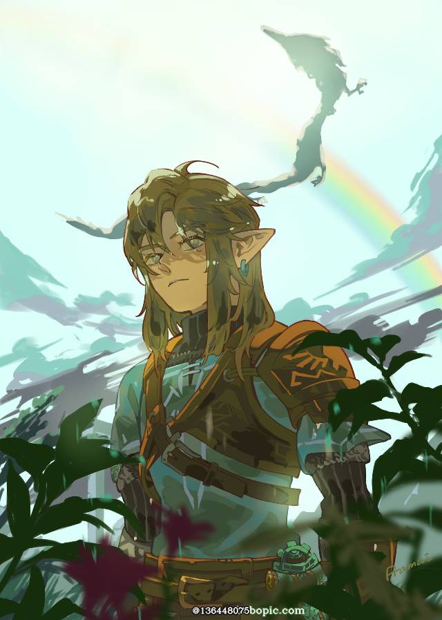 塞尔达传说, 王国之泪, The Legend of Zelda 100+ bookmarks