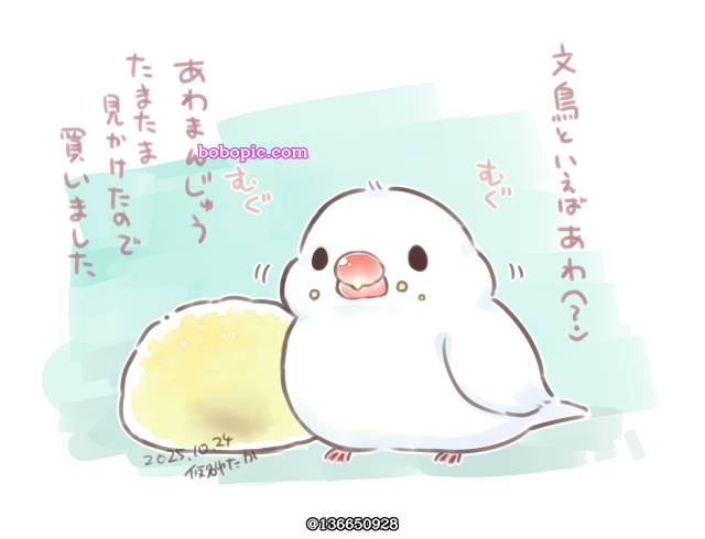 原创, 动物, Java sparrow, 涂鸦