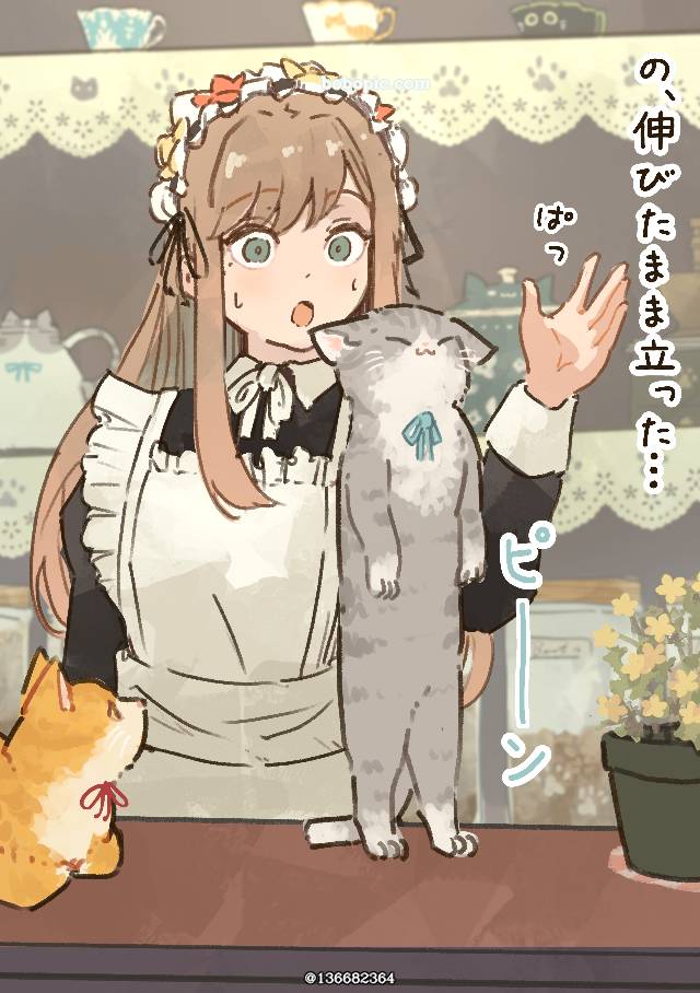 cat, 猫, 女孩子, 女仆