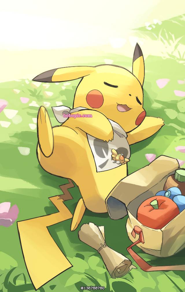 精灵宝可梦, 皮卡丘