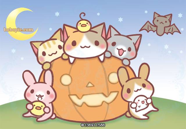 cat, pumpkin, 万圣节