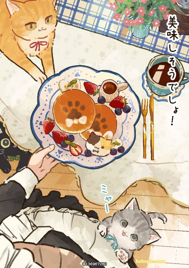 cat, 猫, 女仆, cafe