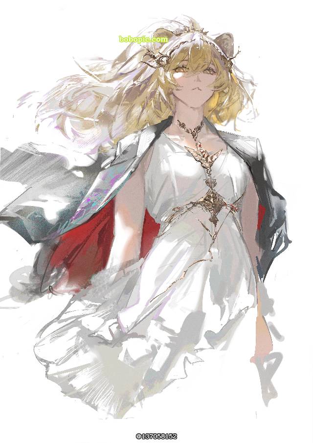 Arknights, 明日方舟