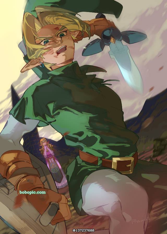 塞尔达传说, 时之笛, The Legend of Zelda 100+ bookmarks