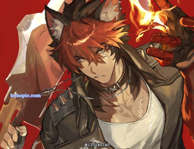 绝区零, Zenless Zone Zero 100+ Bookmarks, 兽耳