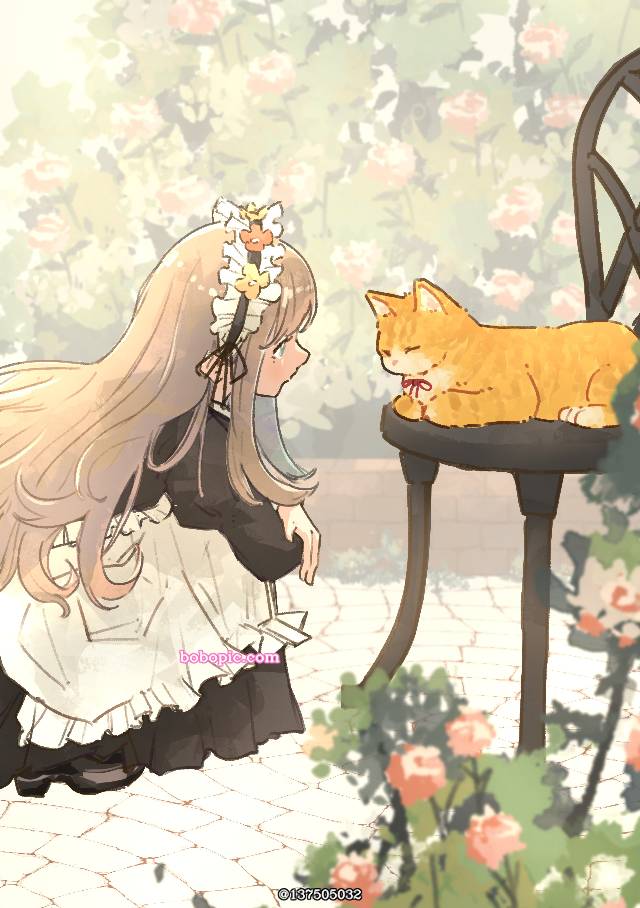 cat, 猫, 女仆, 女孩子