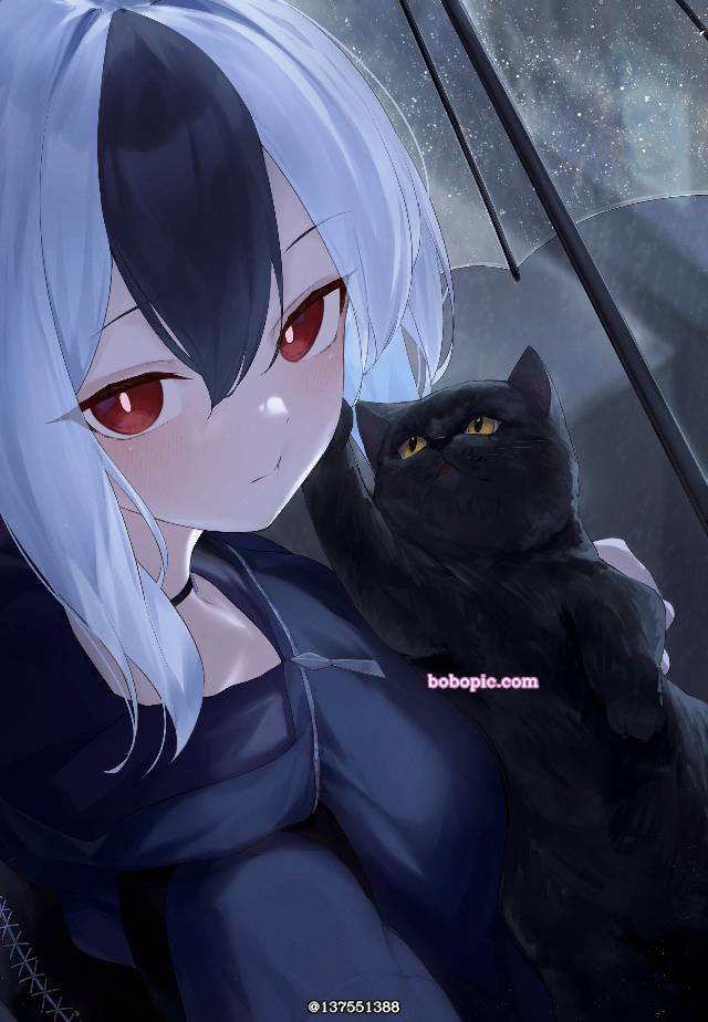 碧蓝档案, Onikata Kayoko, cat and girl, 黑猫