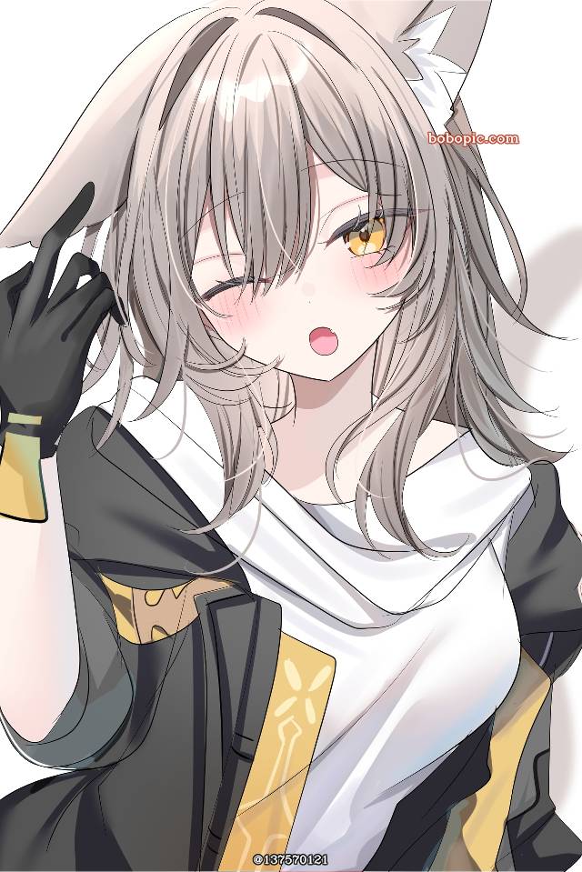 星（星穹铁道）, 崩坏：星穹铁道500收藏