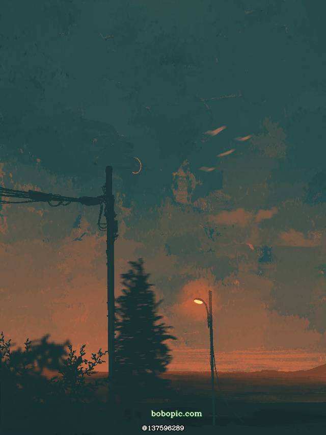 黄昏, street lights, utility poles, 树, 风景, 原创