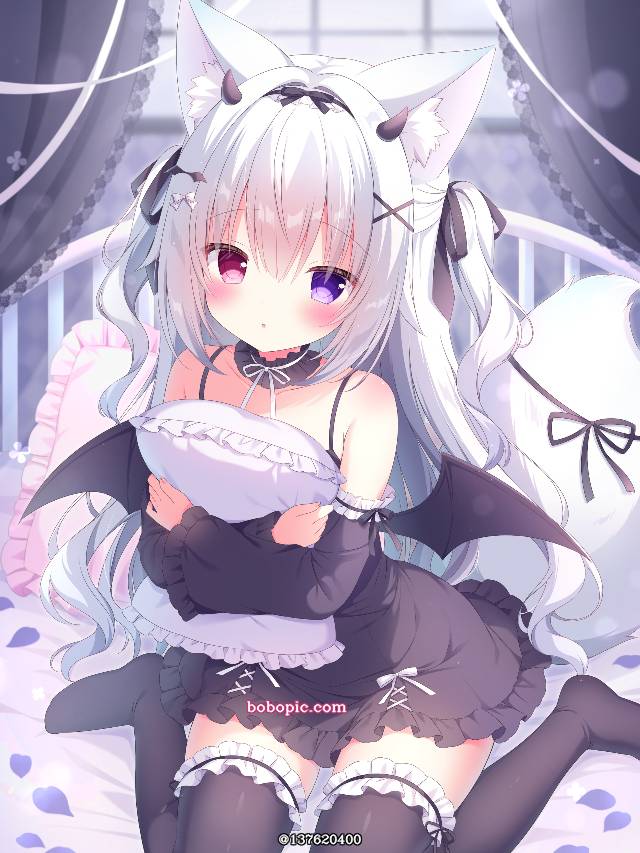 女孩子, knee-high, 兽耳, 魅惑的大腿, 大腿, 萝莉, 洛丽塔