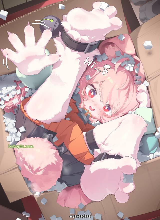 绝区零, 照（绝区零）, 绝区零, Zenless Zone Zero 500+ Bookmarks