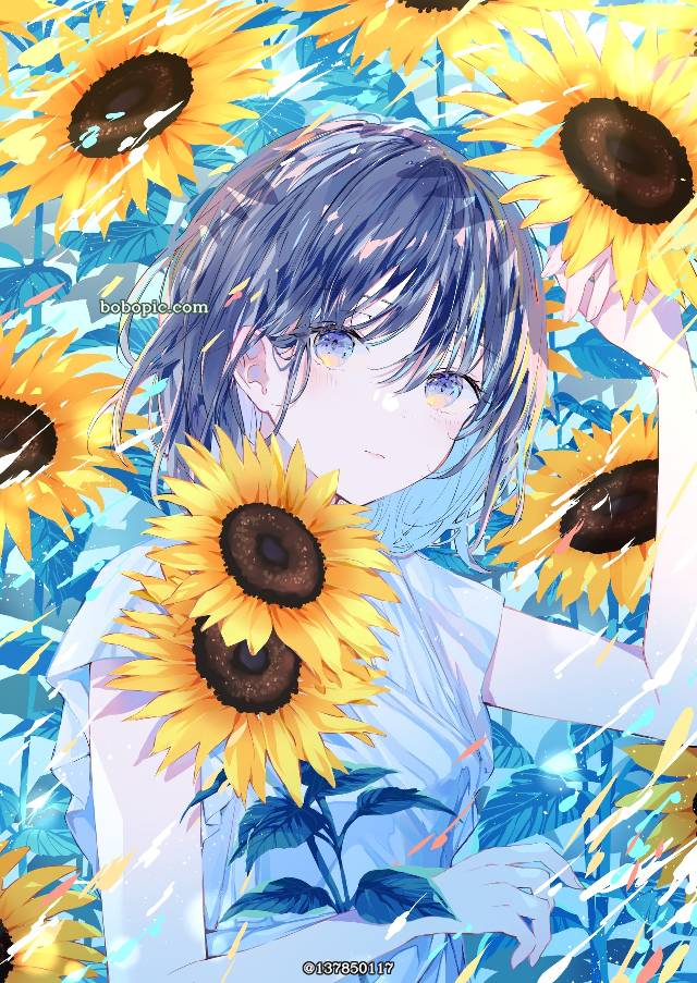 原创, 夏天, 女孩子, 黑发, 花和女孩子, sunflowers