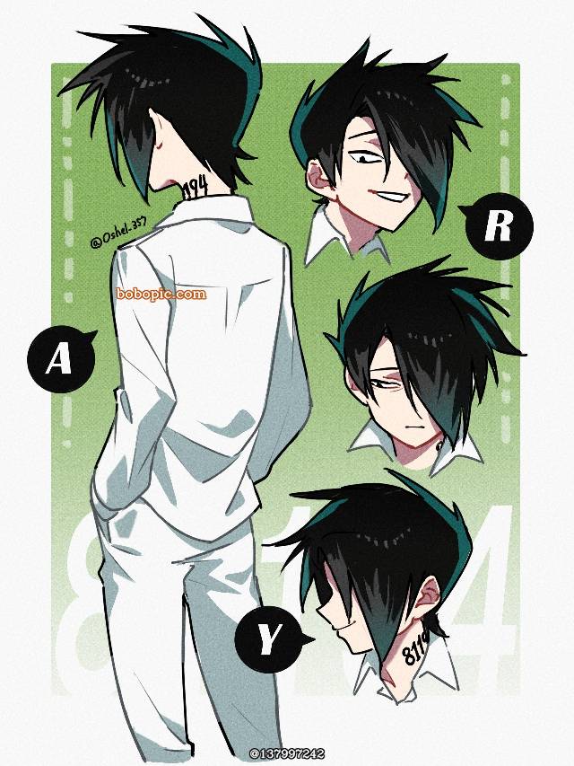 约定的梦幻岛, 梦幻岛