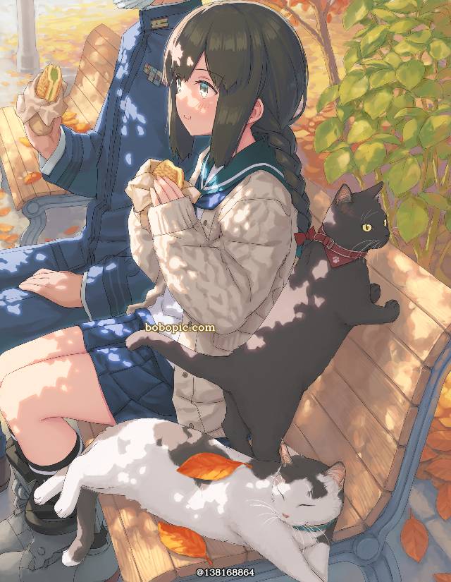 舰C, shipgirls in cardigans, 舰队collection