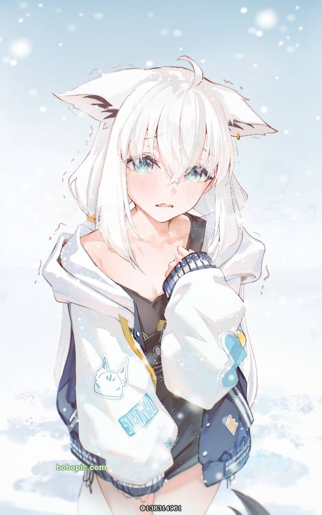 白上吹雪, Hololive, 虚拟主播, Virtual YouTuber 1000+ bookmarks