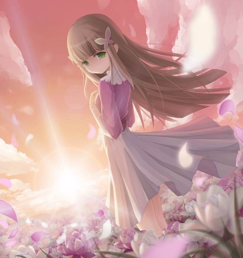 iris, 洛克人EXE, 洛克人, flower, backlighting, 太美了, Iris (MegaMan.EXE), Megaman 1000+ bookmarks