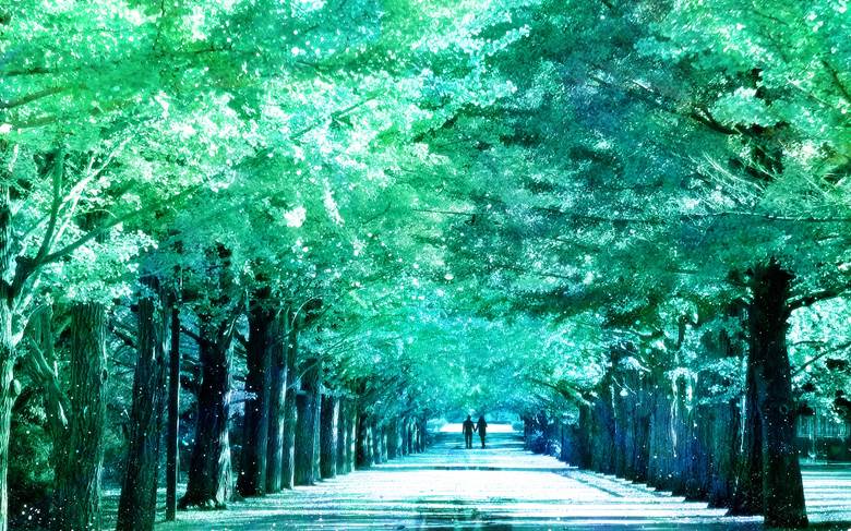 原创, green, 壁纸, beautiful