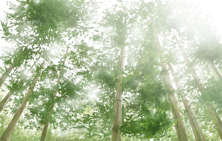 空に恋する緑たち|スクナビコナ＠びっちさん的树木植物插画图片