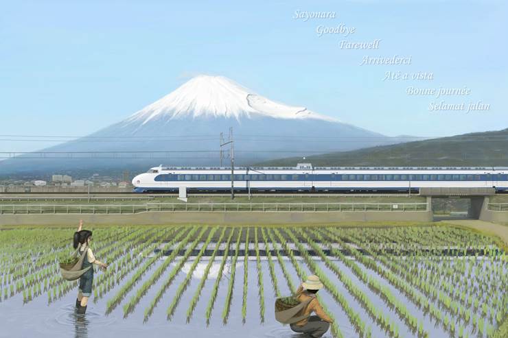 bullet train, overhead wires, 铁路, 电车, paddy field