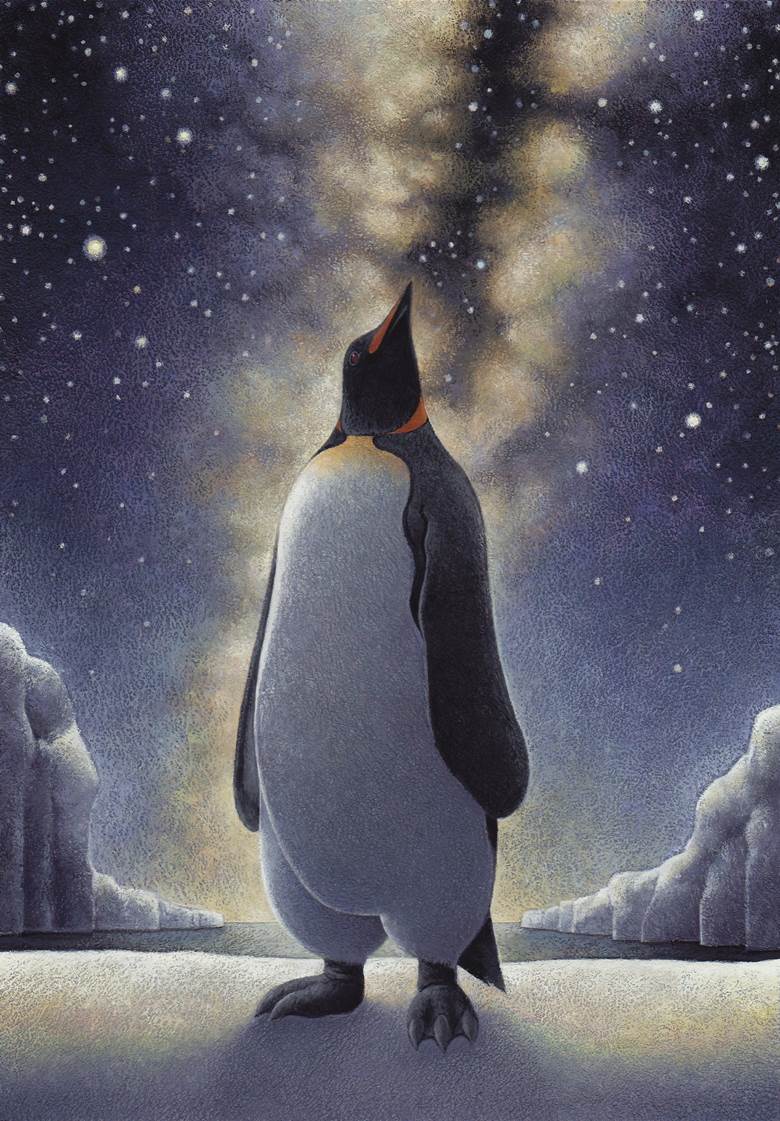 梦 见 鸟|マバタメ的企鹅插画图片