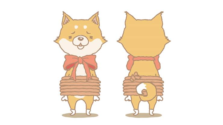 狗, 动物, 可爱, 原创, 毛茸茸, dog