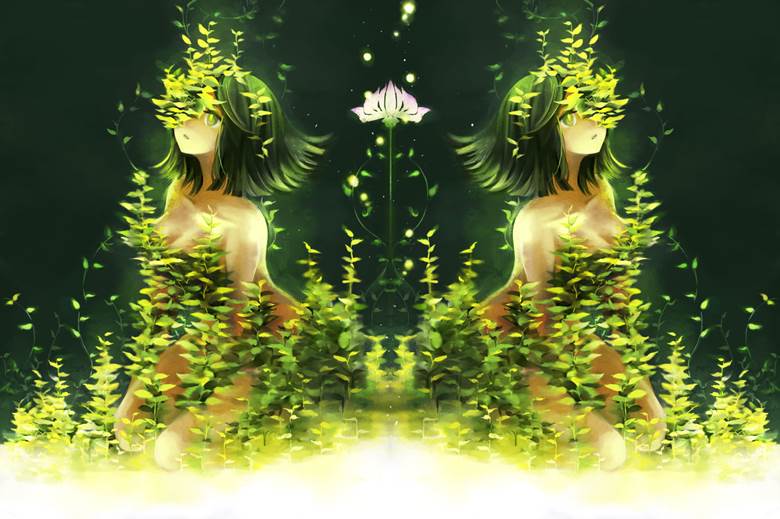 緑|manami的植物景观插画图片