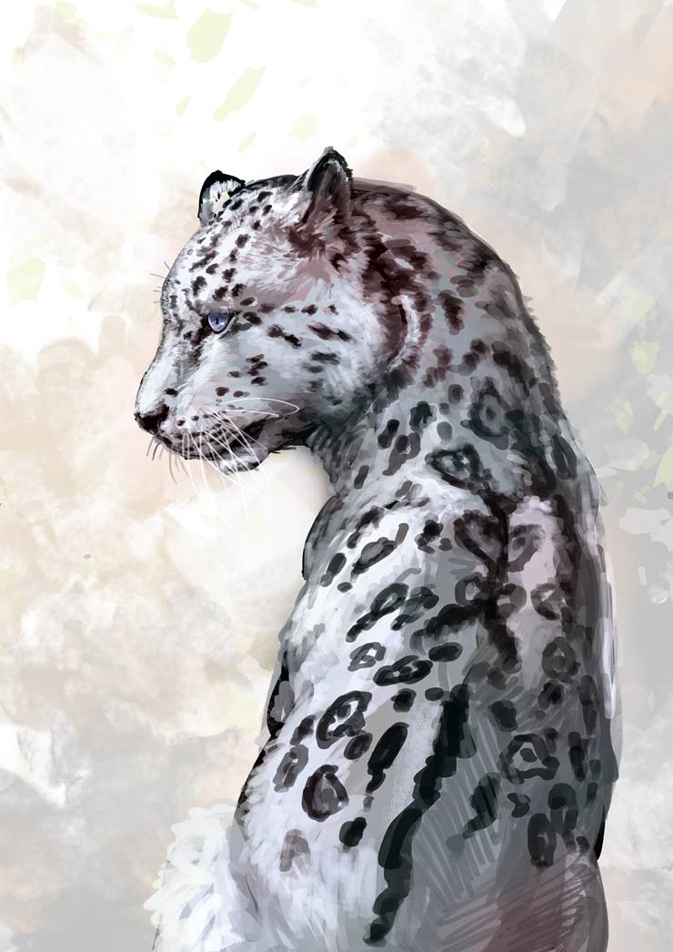 噗噗。|插画师DRAGONizm的雪豹插画图片