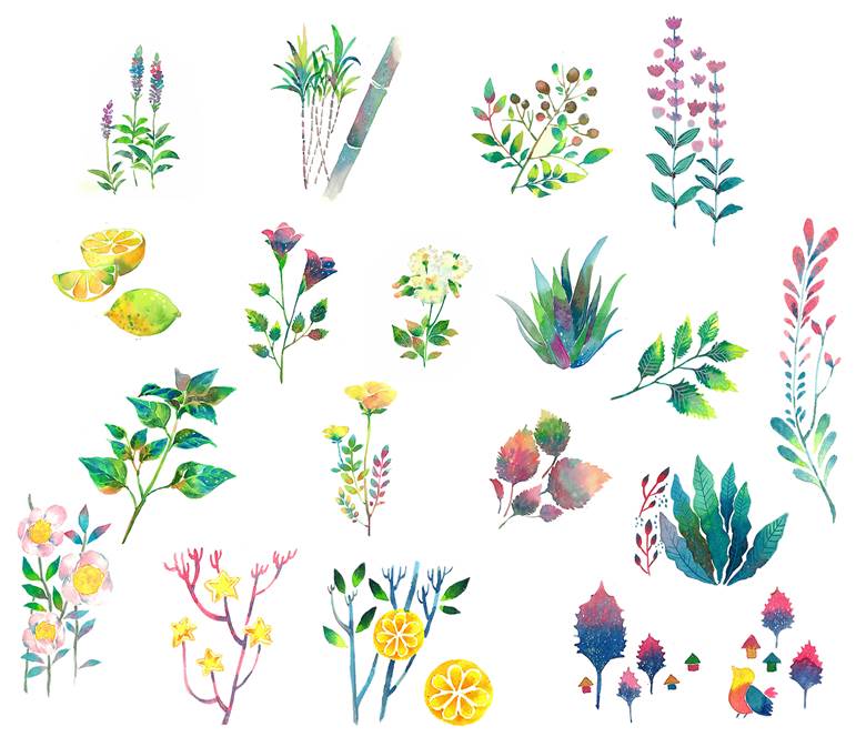 植物|wwiinngg的植物景观插画图片