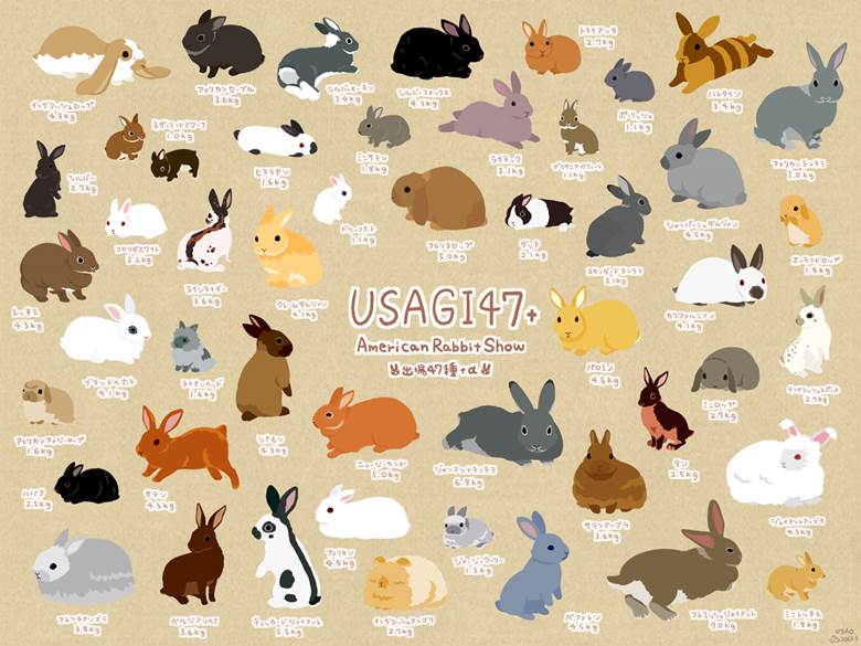 USAGI47+|大贺一五(兎尾)的小兔子动物插画图片