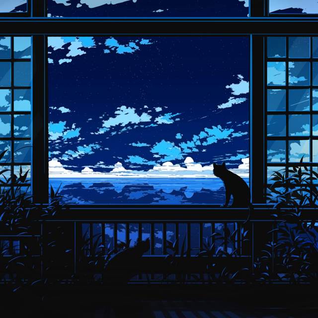 window, 原创, 卧槽美哭, cat, wtf this is beautiful, 品味优雅, 好想去这里, 风景100000收藏