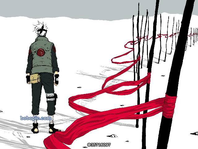 NARUTO,太美了,旗木卡卡西,火影忍者图片