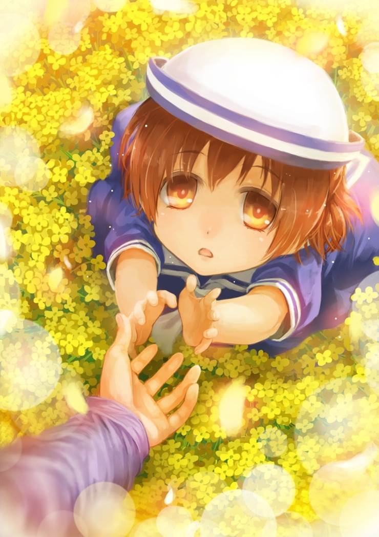Tomoya Okazaki, 冈崎汐, 父女, flower field, reaching out