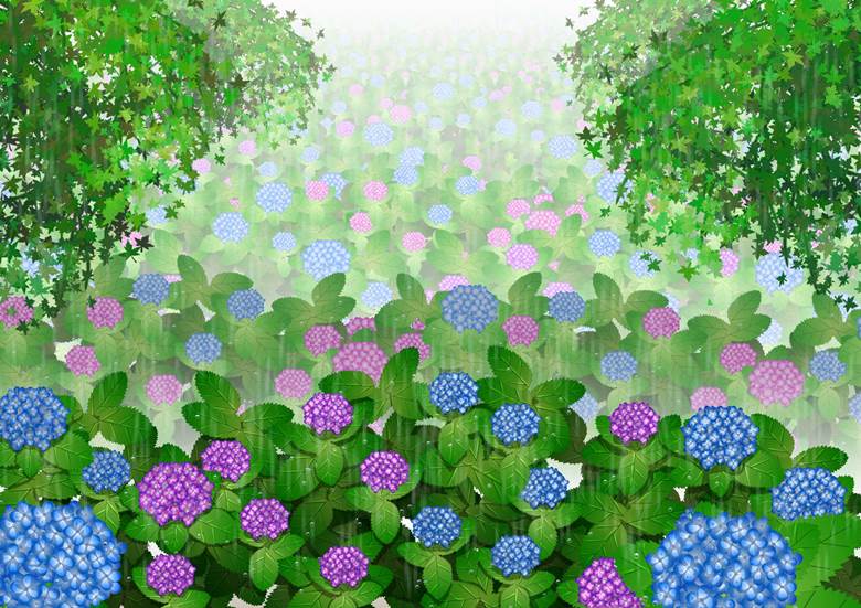 五月雨模様 わたなべたかし的紫阳花插画图片 Bobopic