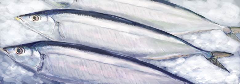 秋刀鱼|おてんばベッキー的Pixiv美食插画图片
