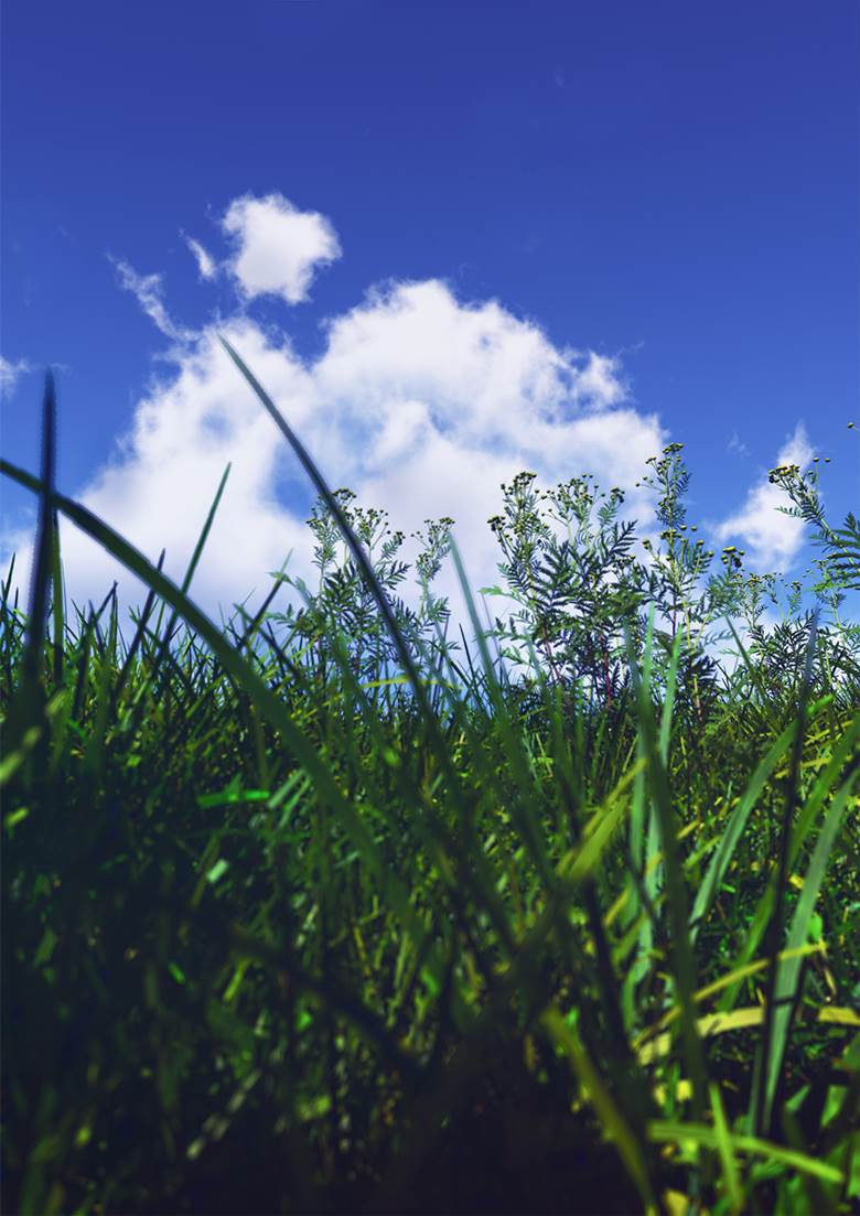 原创, 风景, 夏天, 太美了, 夏日天空, 原创5000users加入书籤, 风景5000收藏