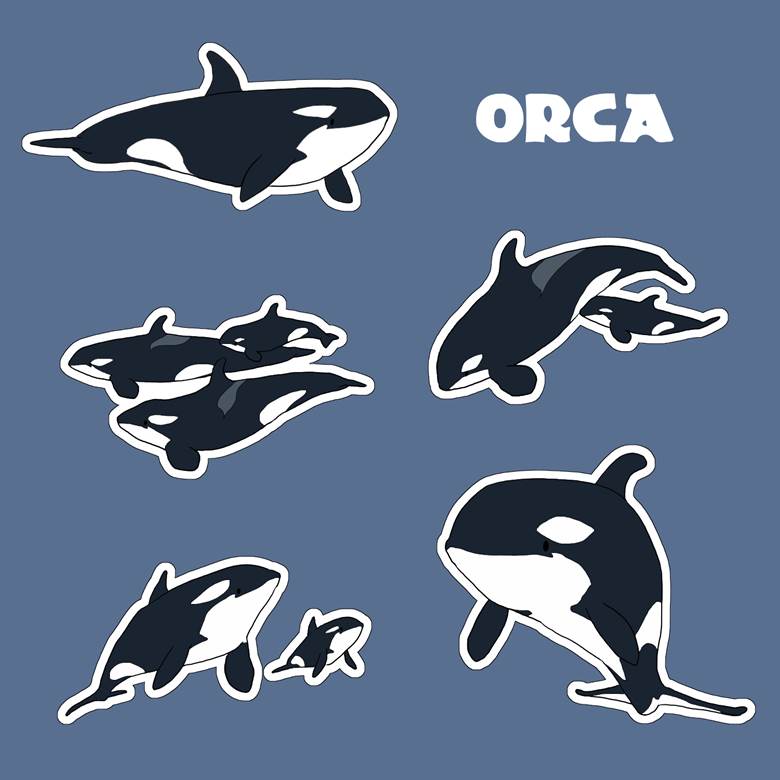 marine life, aquarium, orca, orca