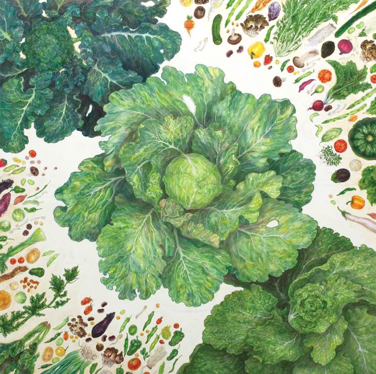 健康的绿色蔬菜pixiv插画图片