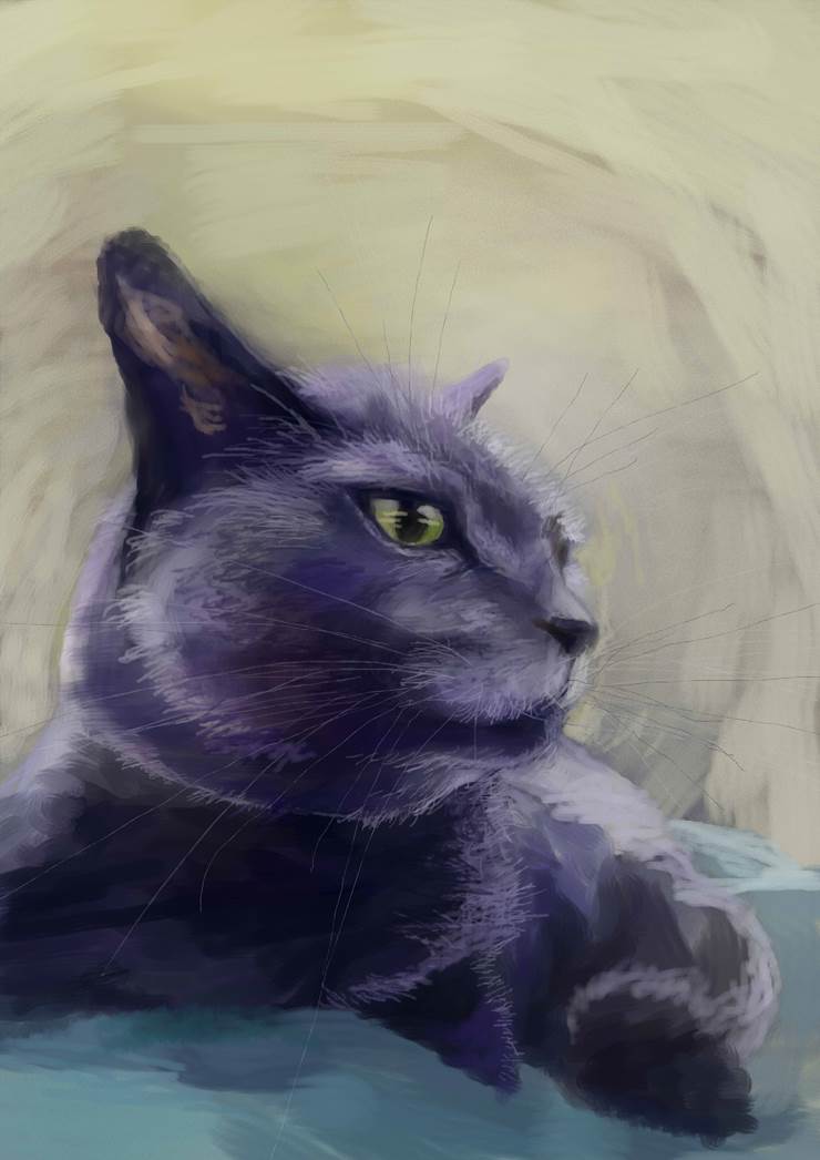 猫|插画师Kupe的猫类动物插画图片