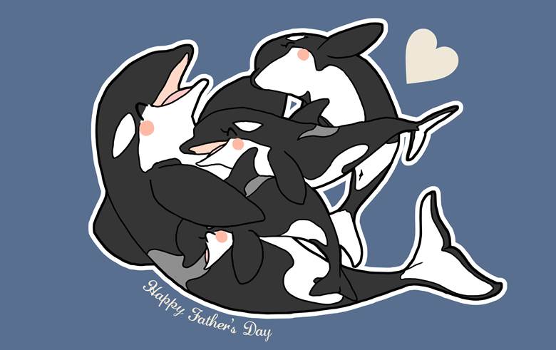 原创, marine life, aquarium, orca, sea, orca, 卧槽好可爱