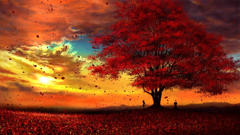 original, scenery, autumn, sunset, setting sun, autumn leaves, scenery 500+ bookmarks, Original 500+ bookmarks