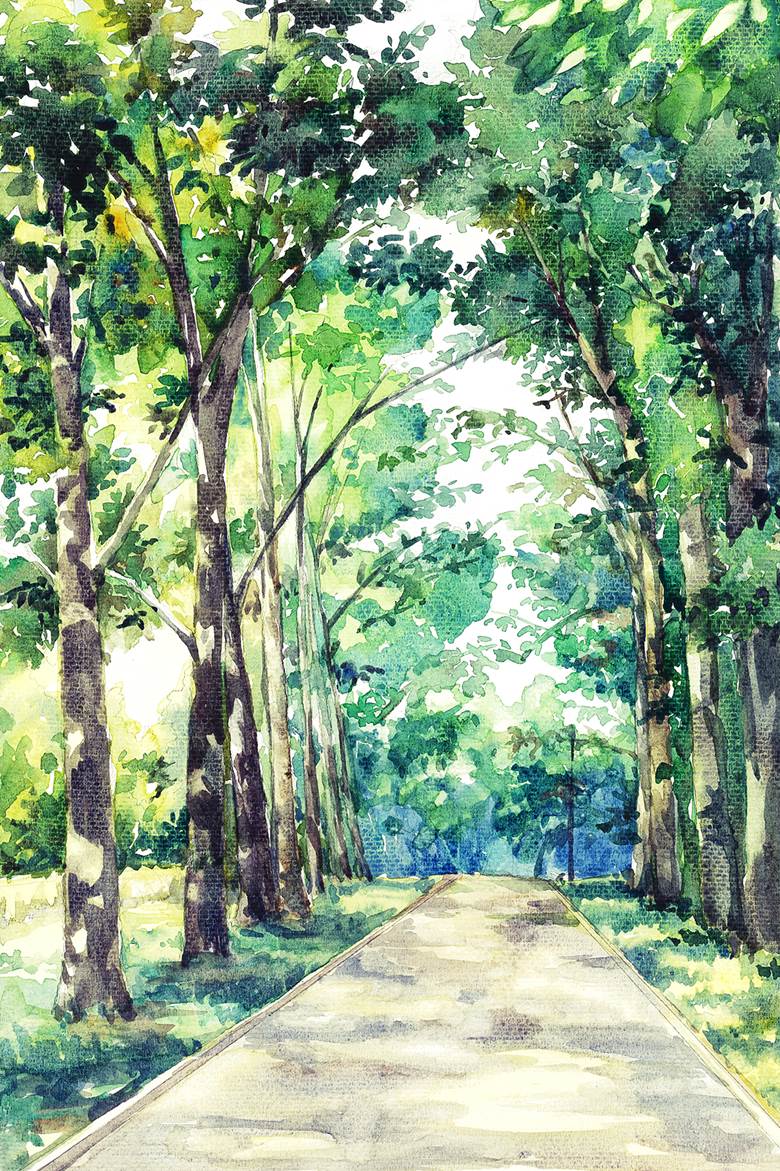 光|NauXii的阳光透过树木插画图片