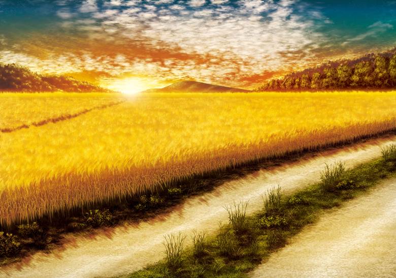 すすき畑|孤独な旅人(お仕事承ります)的夕阳风景插画图片
